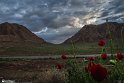 Farrokhi River Landscapes - Qaenat, Iran1 (2)