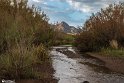 Farrokhi River Landscapes - Qaenat, Iran11