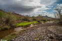 Farrokhi River Landscapes - Qaenat, Iran16