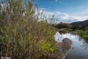 Farrokhi River Landscapes - Qaenat, Iran28
