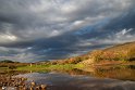 Farrokhi River Landscapes - Qaenat, Iran4