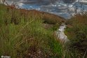 Farrokhi River Landscapes - Qaenat, Iran8