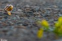 After the Rain13