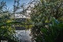 After the Rain3
