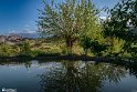 After the Rain5