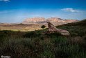 MohamadAlam-11