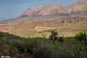 MohamadAlam-15
