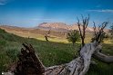 MohamadAlam-16