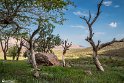 MohamadAlam-19