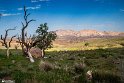 MohamadAlam-20