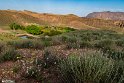 MohamadAlam-4