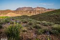 MohamadAlam-5