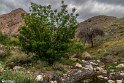 Bidokhtak_Nature11