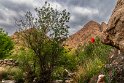 Bidokhtak_Nature14