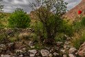 Bidokhtak_Nature15
