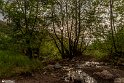 Bidokhtak_Nature18