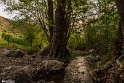 Bidokhtak_Nature19