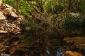 Bidokhtak_Nature20