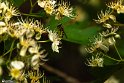 Bidokhtak_Nature22