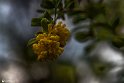 Bidokhtak_Nature26