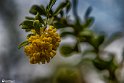 Bidokhtak_Nature27