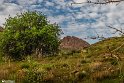 Bidokhtak_Nature28