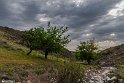 Bidokhtak_Nature6