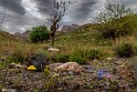 Bidokhtak_Nature7