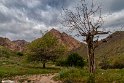 Bidokhtak_Nature8