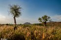 سفر دنیا -Journey of Life  1