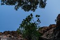 aNJIRY17 (2)