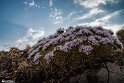 Calm Moments19
