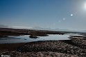 Silent Wetland  1