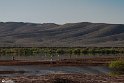 Silent Wetland  12