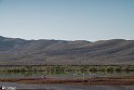 Silent Wetland  13