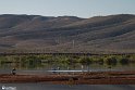 Silent Wetland  14
