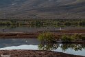 Silent Wetland  18