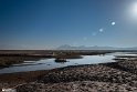 Silent Wetland  2 (2)
