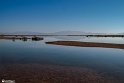 Silent Wetland  25