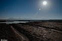 Silent Wetland  6