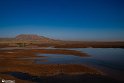 Silent Wetland  8