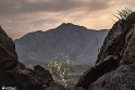 Sangnavardi-16