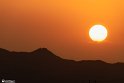 Halazon-3