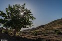 Aliabad0 (2)