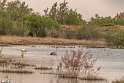 TalabAA-20