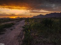 Passion-for-Growth1