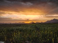 Passion-for-Growth2