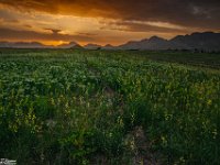 Passion-for-Growth4