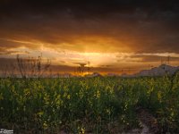 Passion-for-Growth5