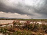 farrokhi-dam-eastern-iran-wild-poppies15.jpg